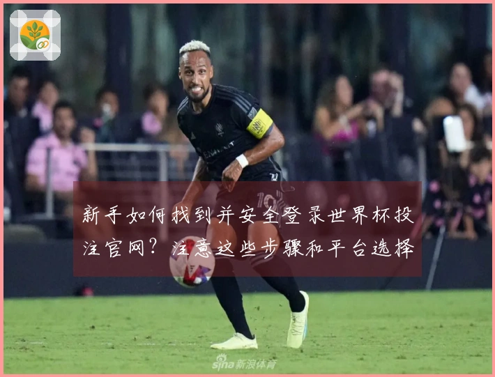 新手如何找到并安全登录世界杯投注官网？注意这些步骤和平台选择！