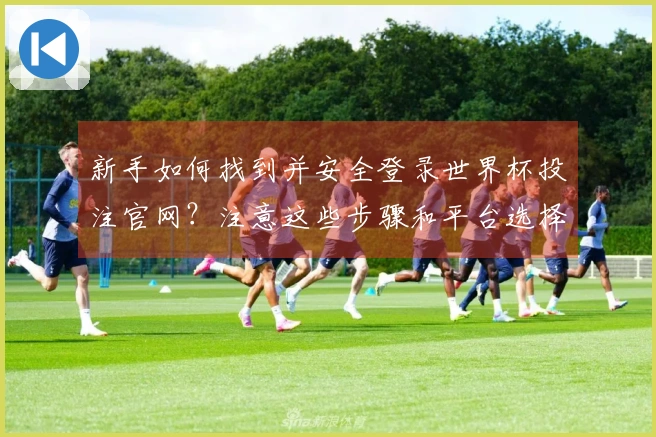 新手如何找到并安全登录世界杯投注官网？注意这些步骤和平台选择！
