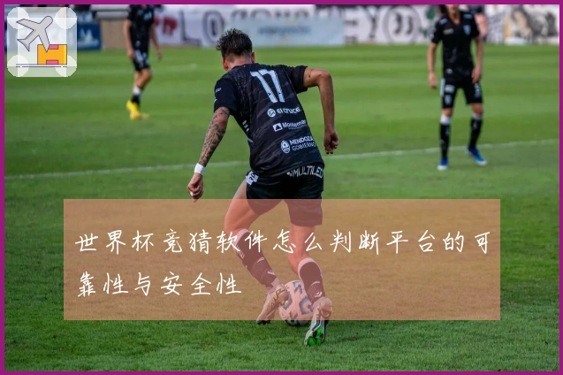 世界杯竞猜软件怎么判断平台的可靠性与安全性