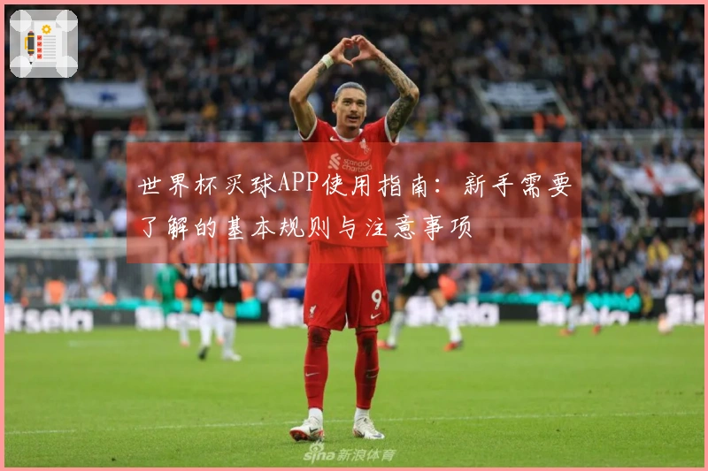 世界杯买球APP使用指南：新手需要了解的基本规则与注意事项