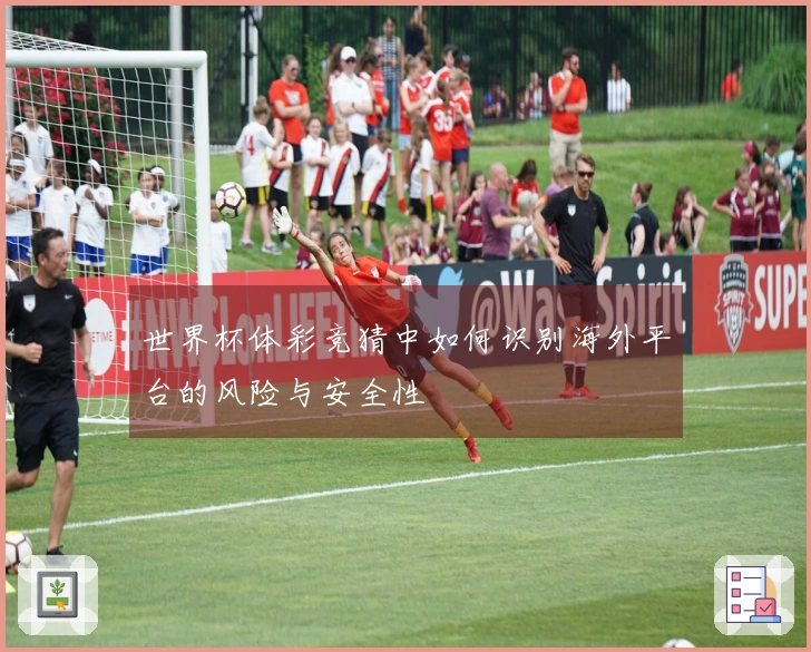 世界杯体彩竞猜中如何识别海外平台的风险与安全性