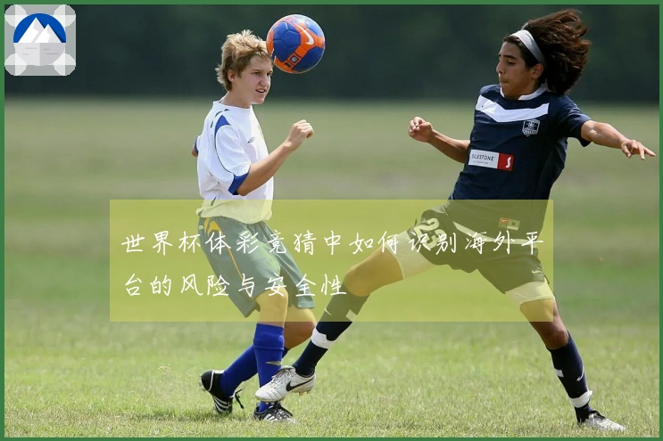 世界杯体彩竞猜中如何识别海外平台的风险与安全性