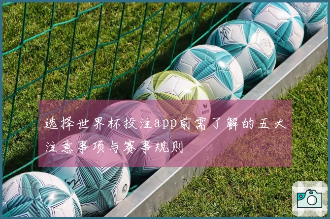 选择世界杯投注app前需了解的五大注意事项与赛事规则