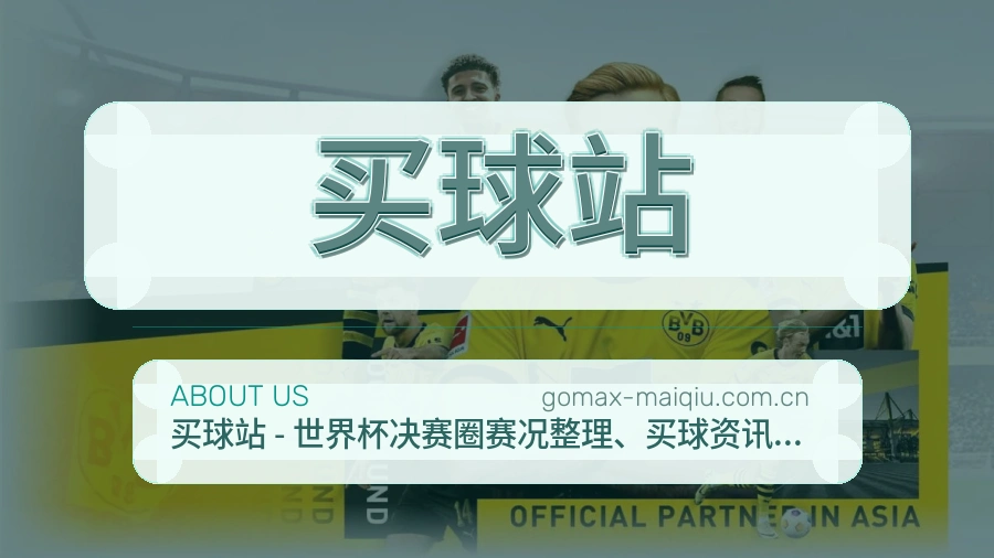 买球站平台服务概况